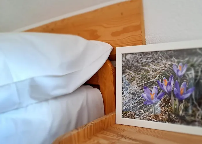 Przy Szlaku Zakopane Centrum Pokoje & Apartamenty