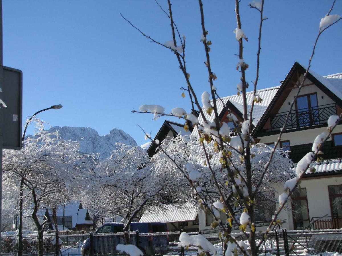 Przy Szlaku Centrum & * Zakopane